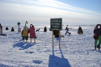 Nome National Forest